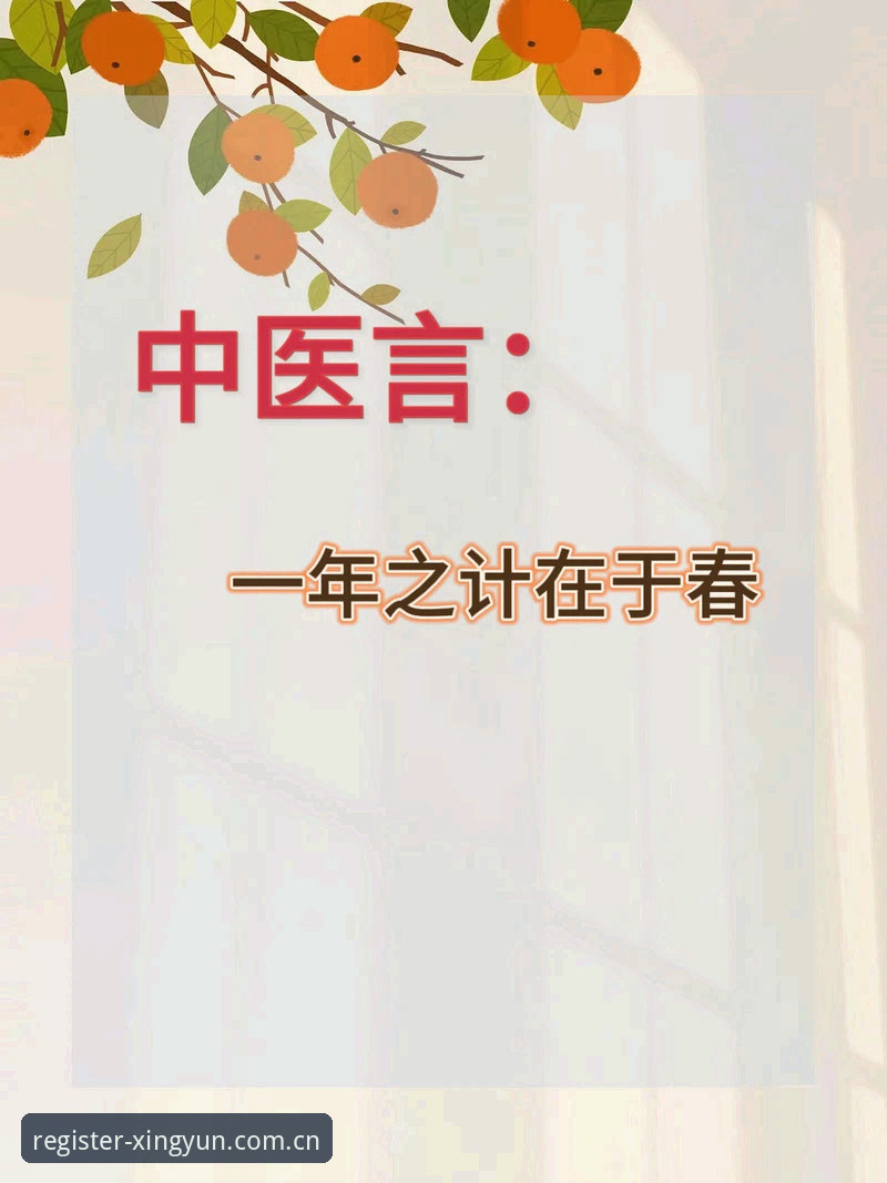 为什么杏运平台官方链接功能详解是提升数字娱乐体验的关键？